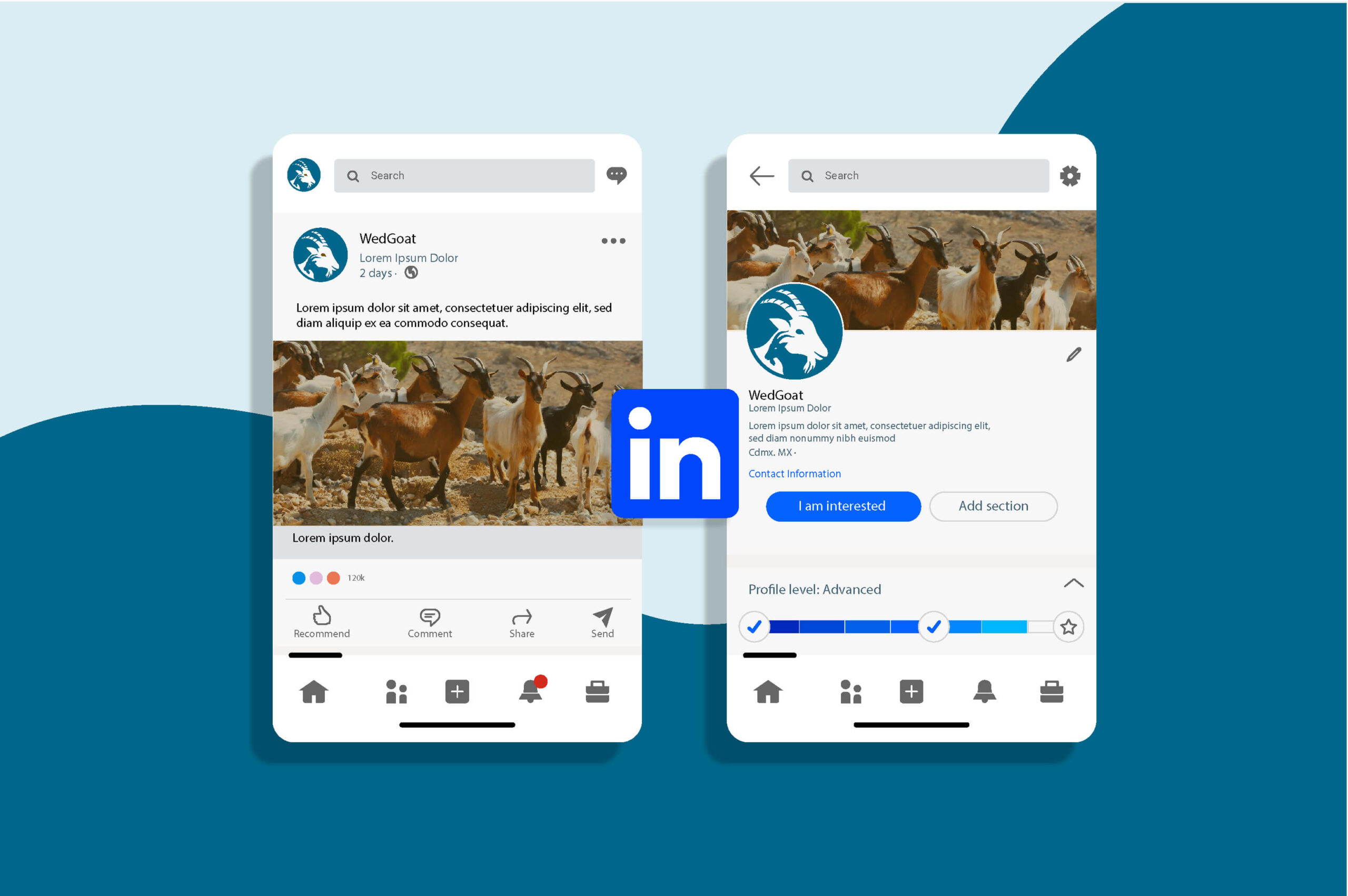 Erasmus project website expert PowerPoint template