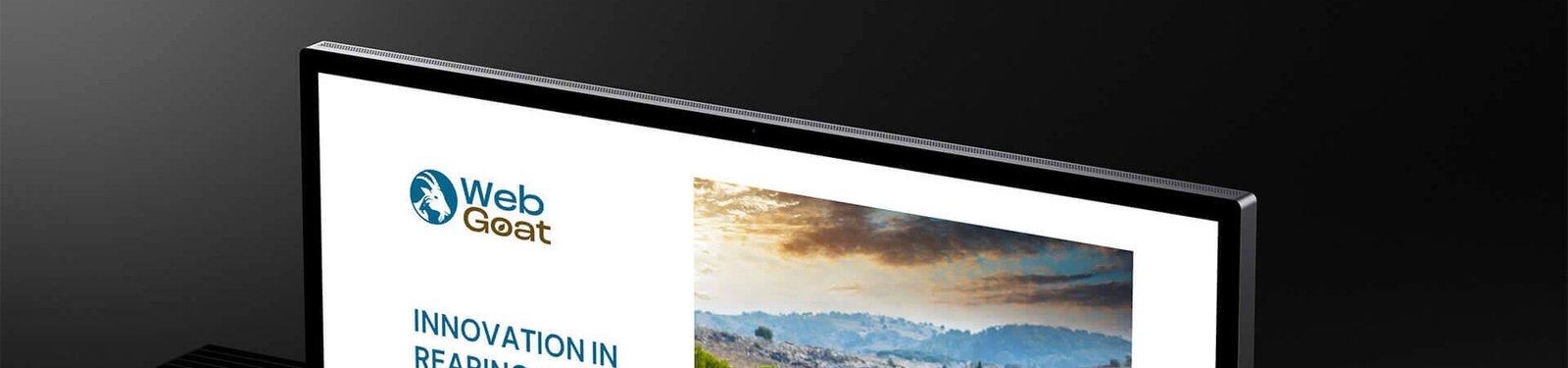 WEBGOAT post featured image