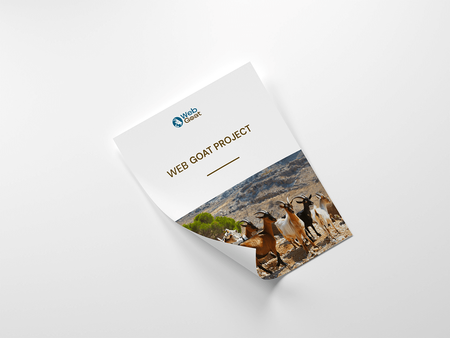 Erasmus project website expert PowerPoint template