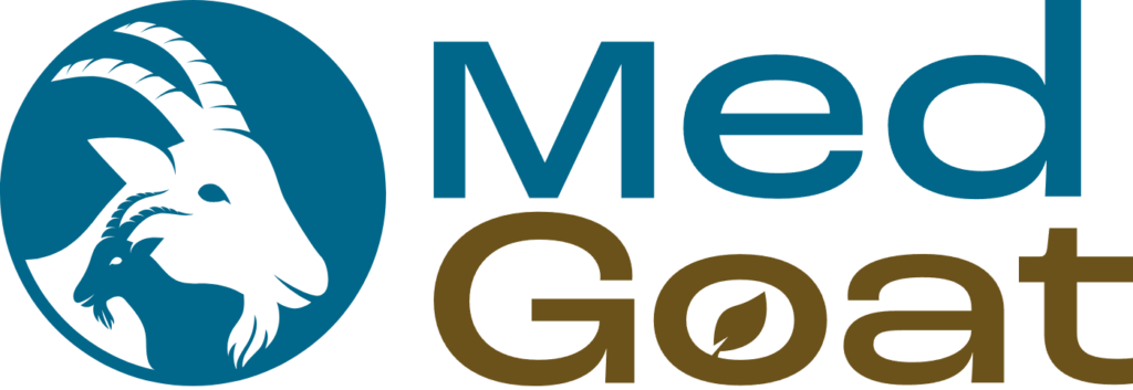 WEBGOAT — MedGoat, first version